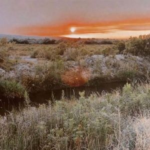 Meet your Posher, Randi